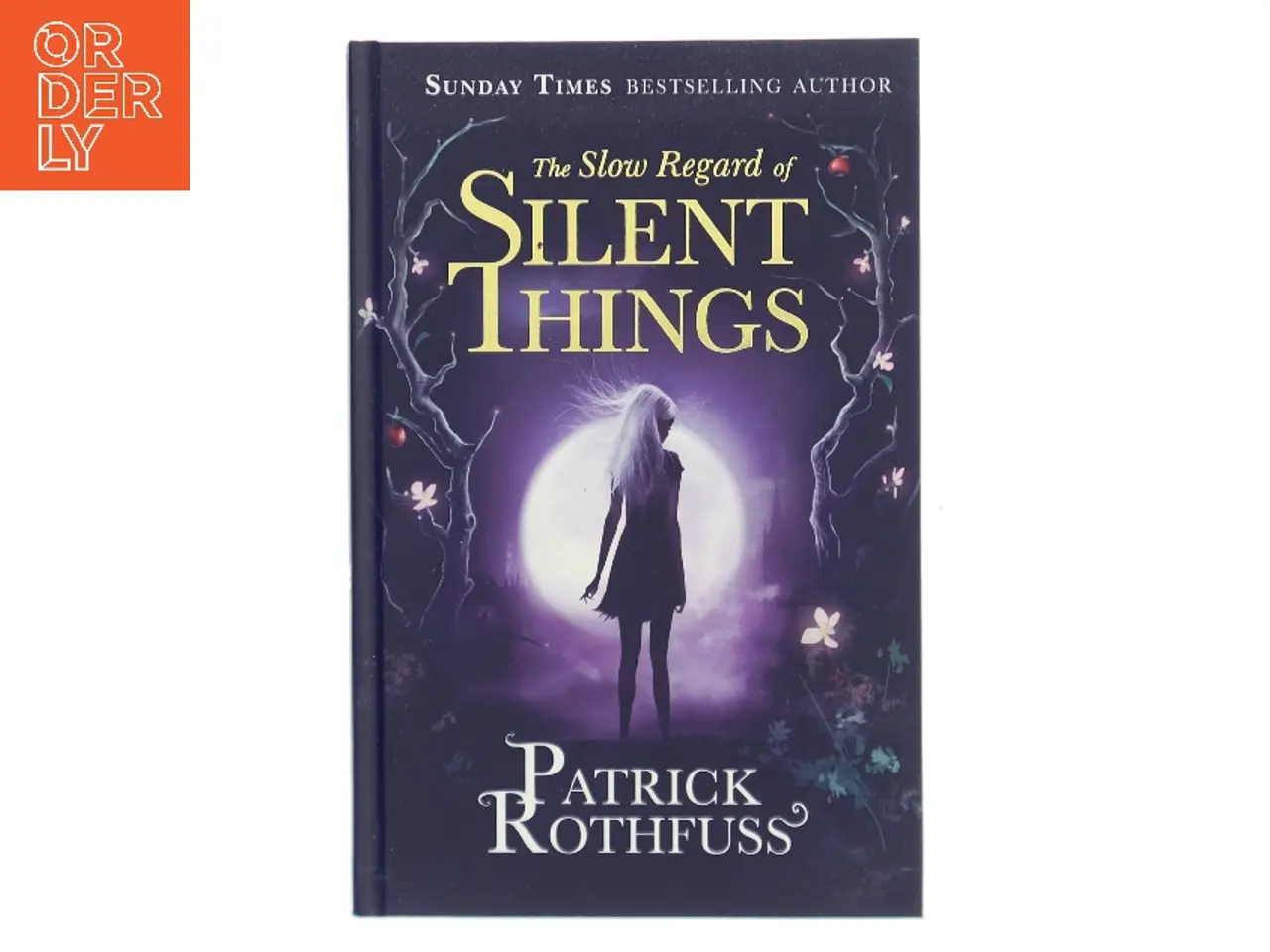 Billede 1 - The slow regard of silent things af Patrick Rothfuss (Bog)