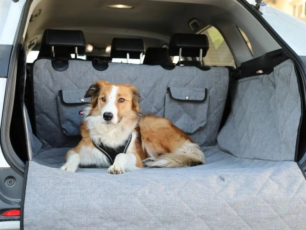 Billede 3 - ZOLUX Nomad bagagerumsbeskytter til hund - grå