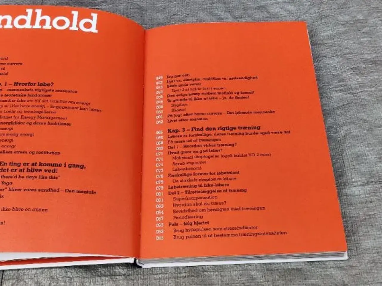 Billede 2 - Bog: Bliv løber for livet
