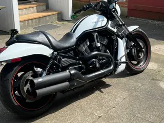Night Rod Special