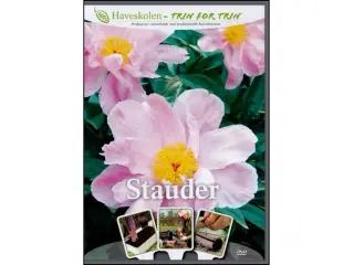Stauder - dvd