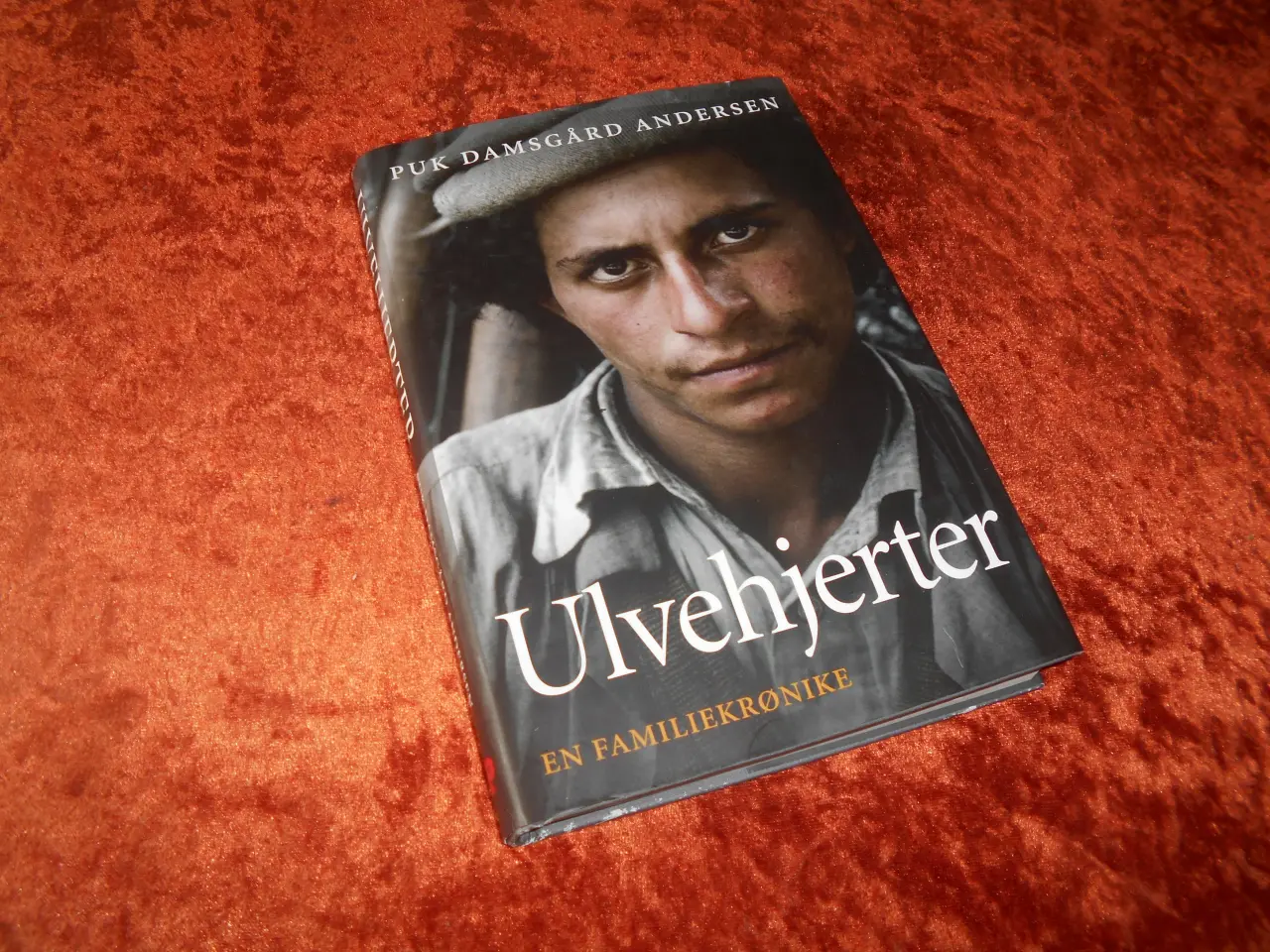 Billede 1 - Ulvehjerter, Puk Damsgård Andersen,