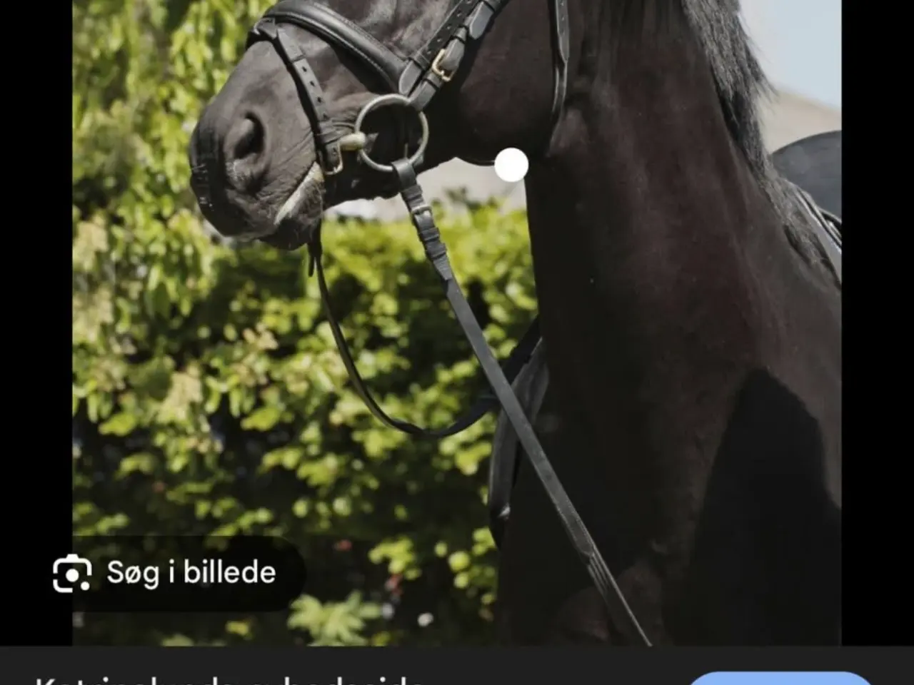 Billede 5 - Skøn 2’er pony søger nyt hjem 