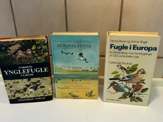 3 stk. Fugle bøger