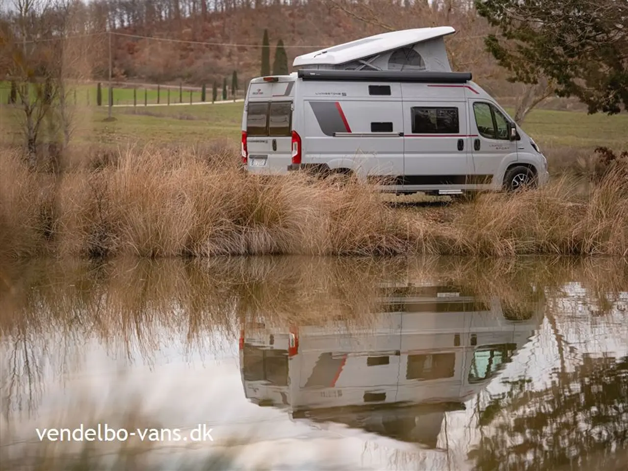 Billede 28 - 2026 - Rollerteam Livingstone Sport 7 Active Van 5,99 m med 5. S. sele og sove pladser