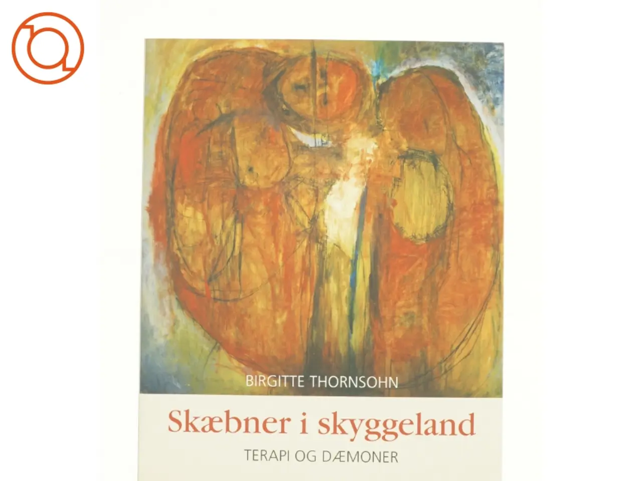 Billede 1 - Skæbner i skyggeland af Birgitte Thorsohn (bog)