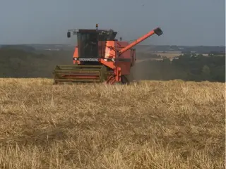 Mega fin Dronningborg d3000s