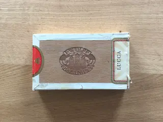 Cigarkasse - P. Wulff Kjøbenhavn - Lucca