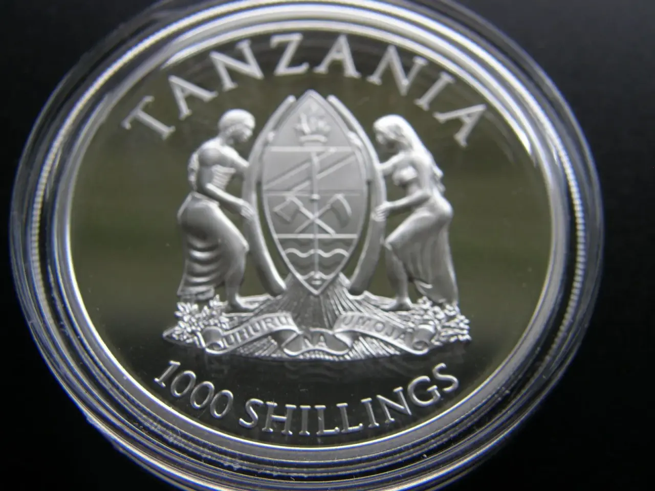 Billede 3 - Tanzania 1000 Shillings 2013 Sølv.