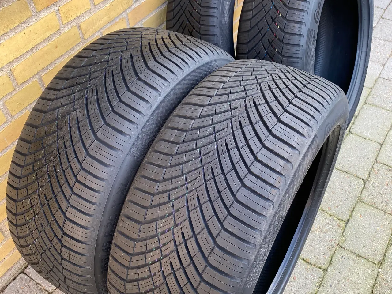 Billede 2 - 20” ID Buzz Helårs Continental 