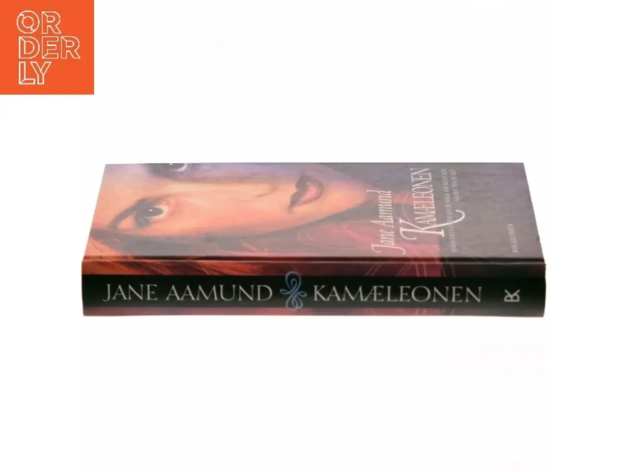 Billede 2 - Kamæleonen af Jane Aamund (Bog)