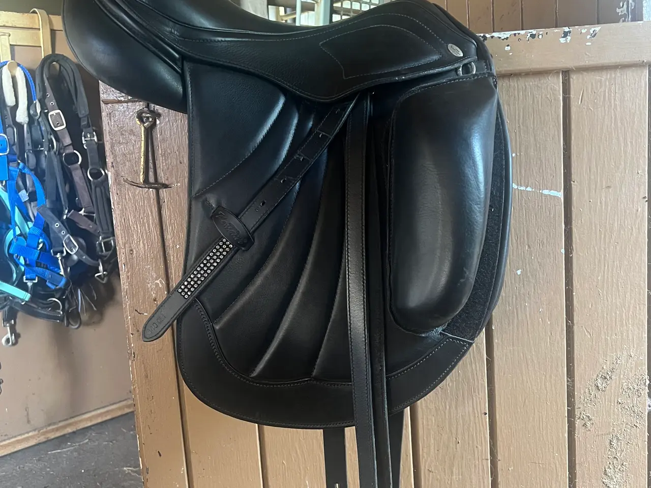 Billede 1 - kentaur young dressage ithaka APM