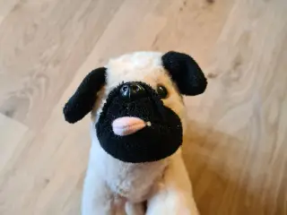 Hund