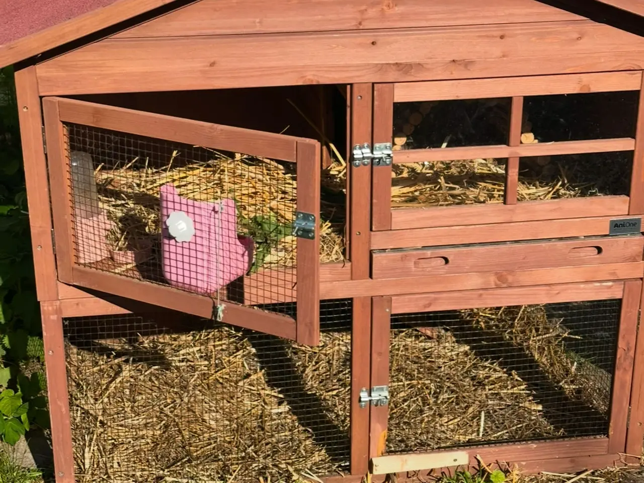 Billede 6 - Tam kanin 9uger med eget hus og have