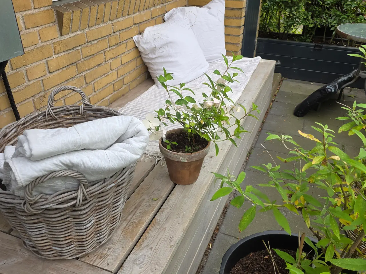 Billede 2 - Stor, solid væghængt bænk / loungesofa (L: 240 cm)