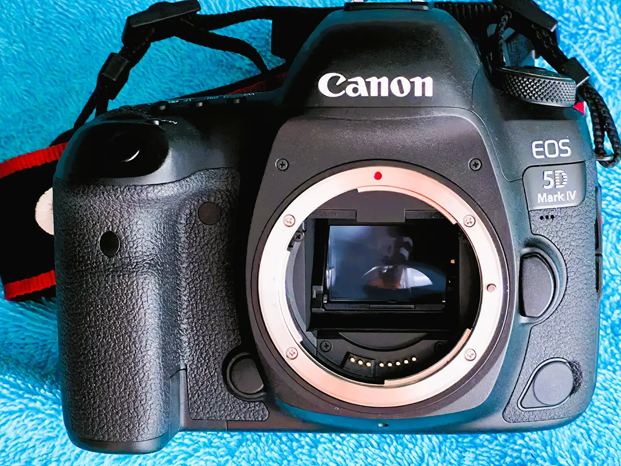 Billede 2 - Canon EOS 5D Mark IV med tilbehør.