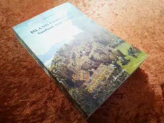 Island i sagatiden, Jesse L. Byock