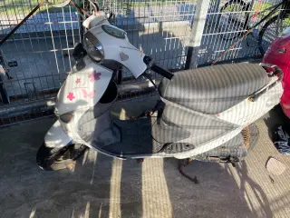 Projekt pgo new ligero