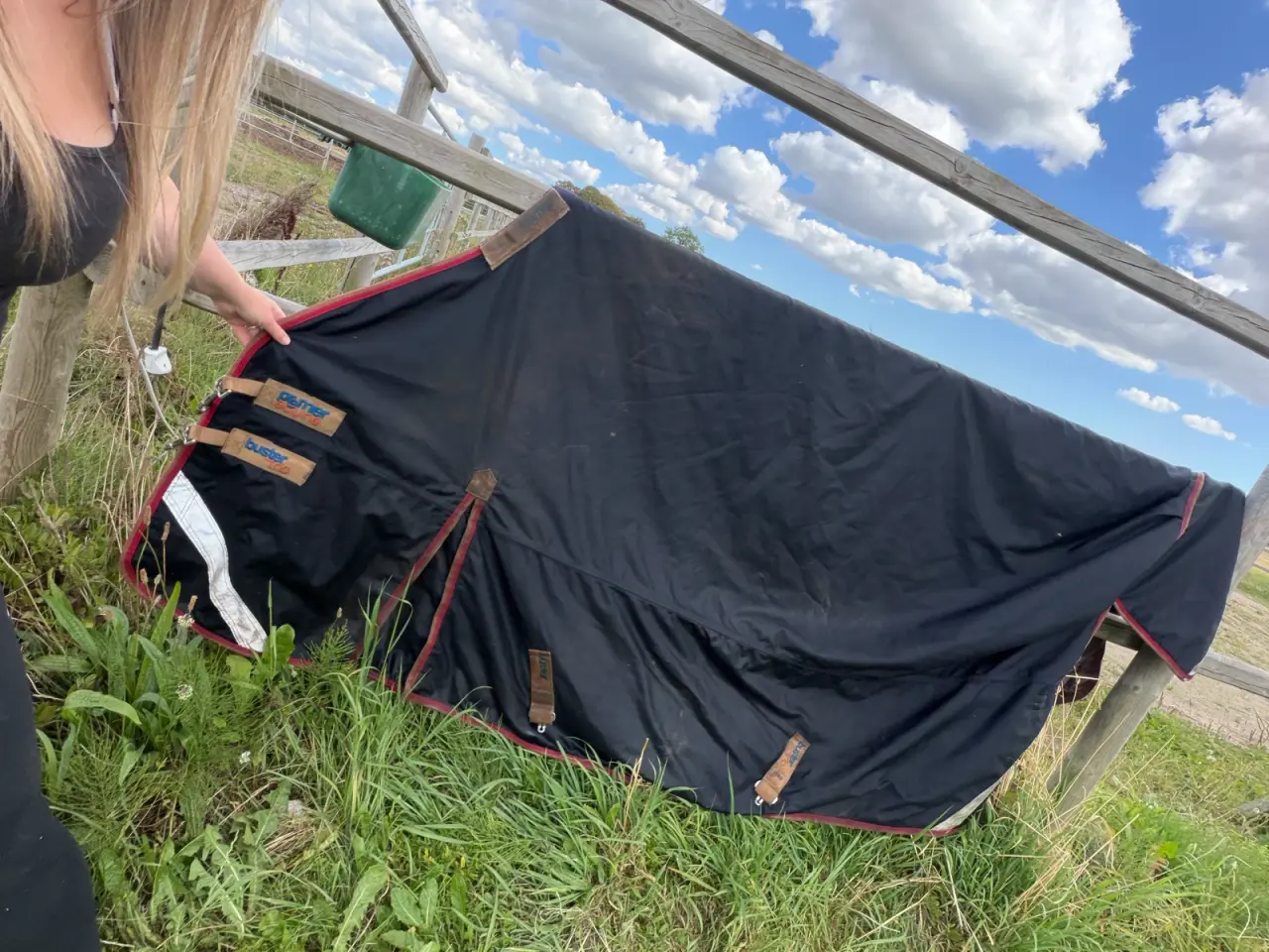 Billede 5 - Kvalitets dækken 100g str hest premier equine bust