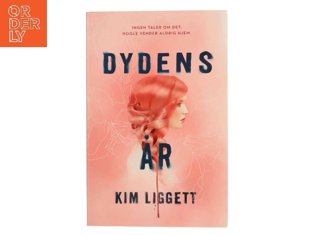 Billede 1 - Dydens år af Kim Liggett (Bog)