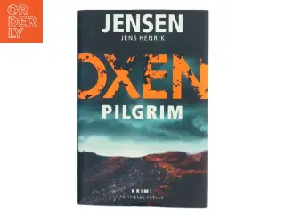 Pilgrim af Jens Henrik Jensen (f. 1963) (Bog)
