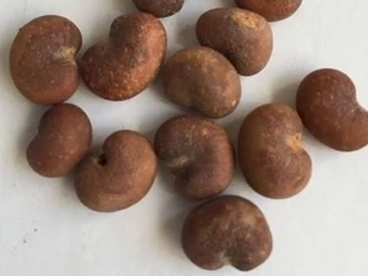 Billede 4 - 35 BaoBab frø