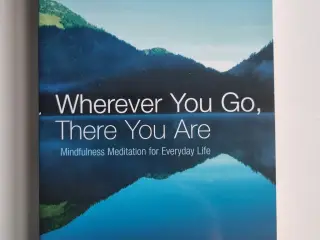 Jon Kabat-Zinn_Wherever you go, there you are
