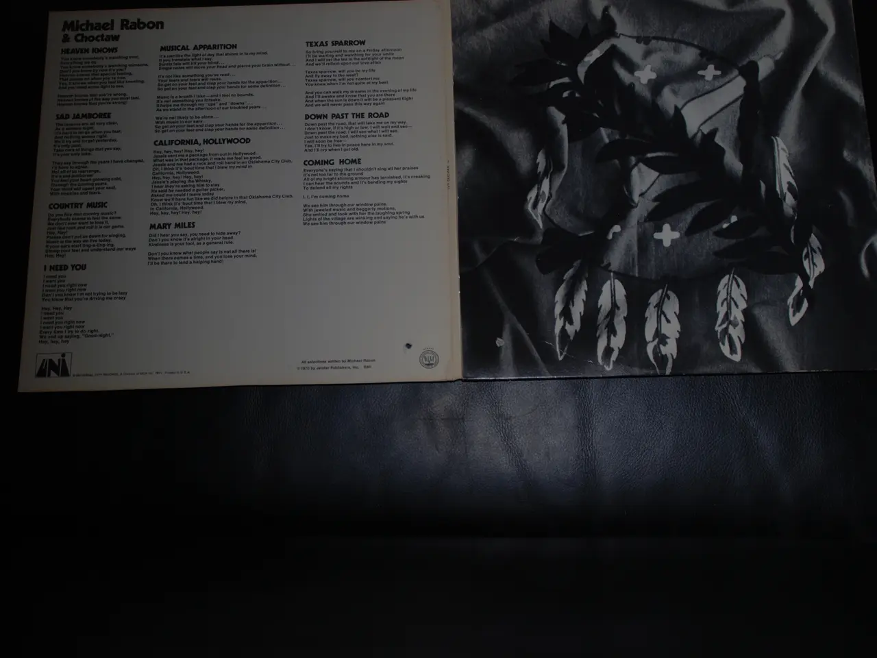 Billede 2 - LP - Michael Rabon & Choctaw