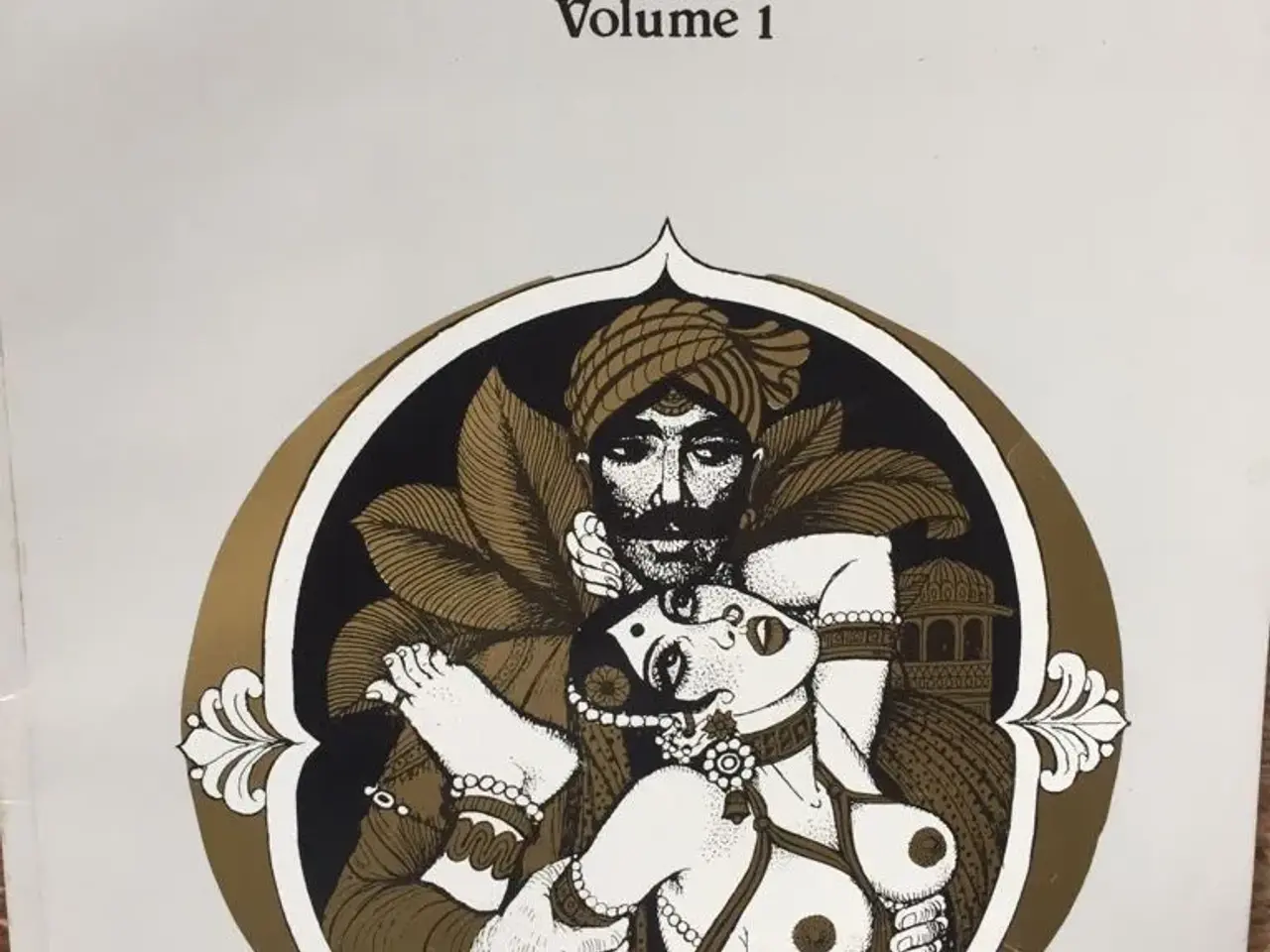 Billede 1 - The illustrated KAMA SUTRA - Volume 1