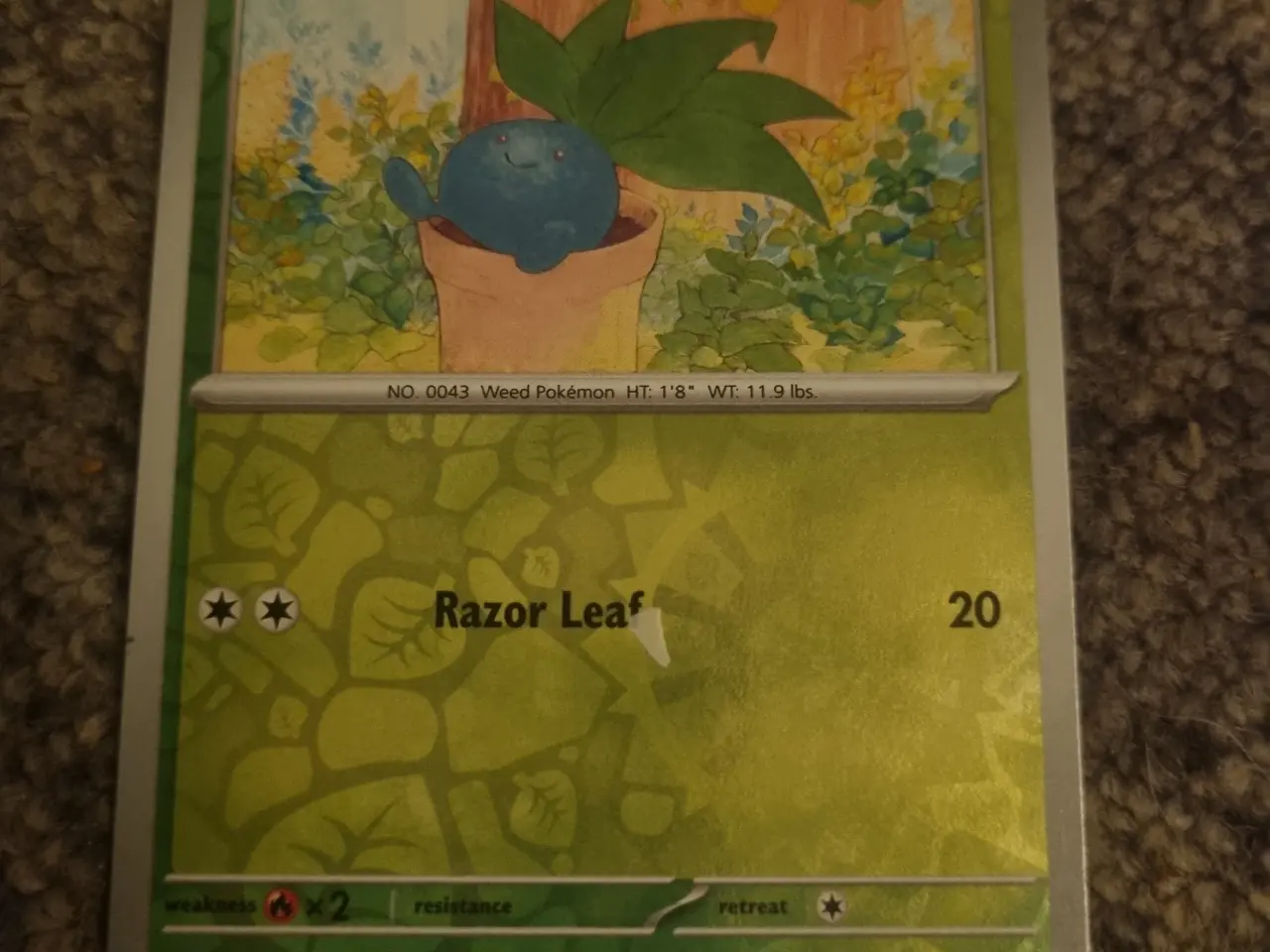 Billede 11 - Annonce 65 - Pokemon