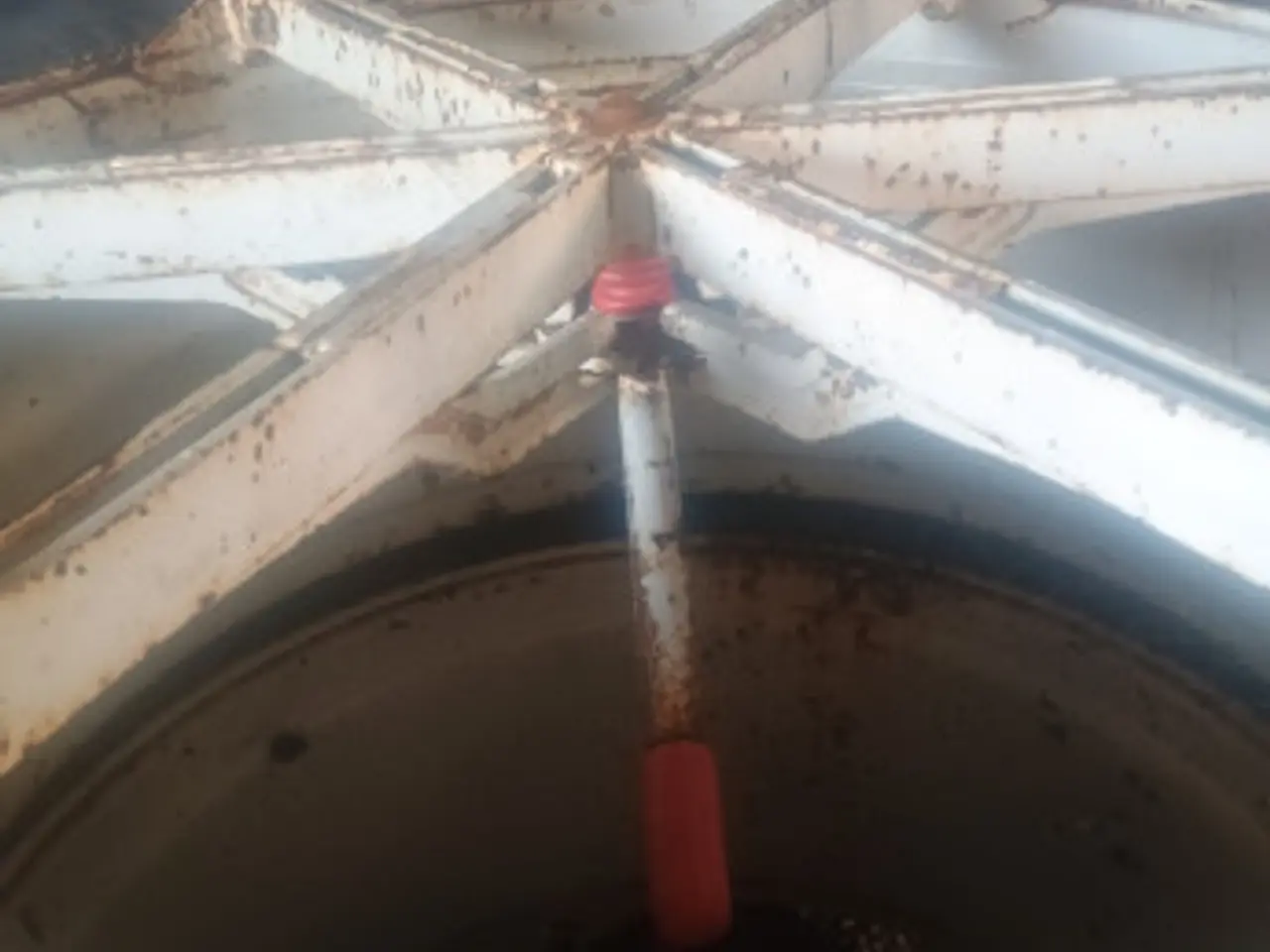 Billede 4 - 38"