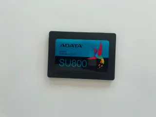 Adata Ultimate SU800 256GB - SSD