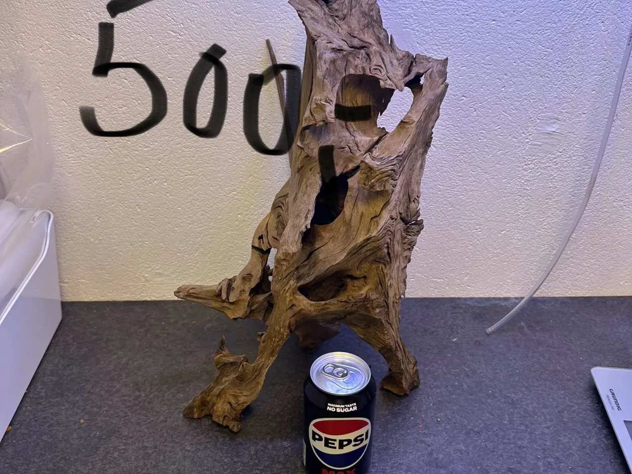 Billede 1 - Trærødder