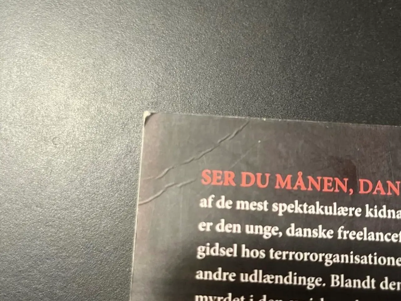 Billede 5 - Ser du månen, Daniel? af Puk Damsgård