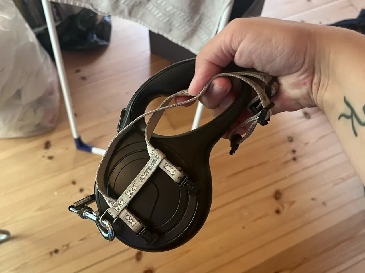 Billede 5 - Hermelin og fransk vædder kaniner
