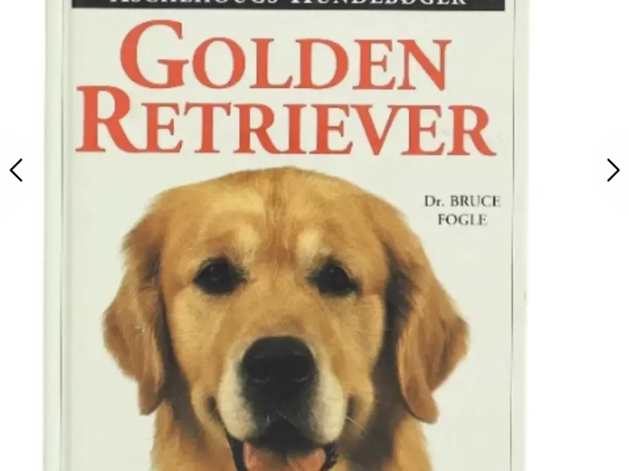 Billede 1 - Søger Golden retriever ❤️købes 