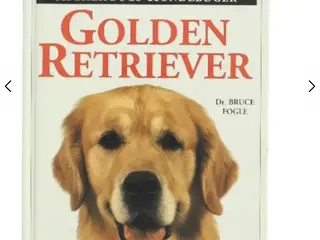 Søger Golden retriever ❤️købes 