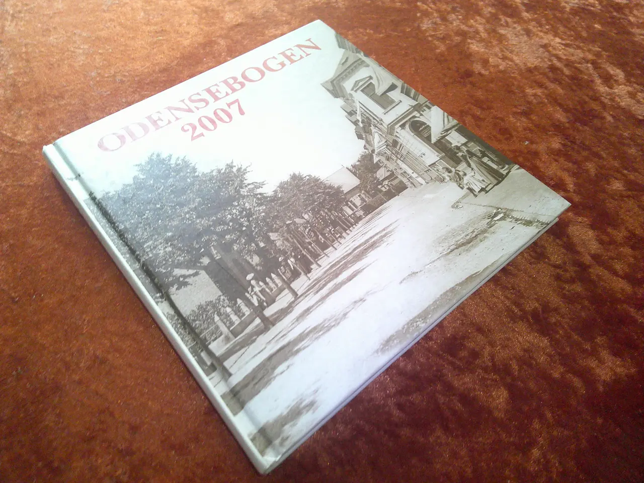 Billede 1 - Odensebogen 2007