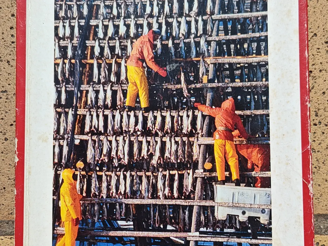 Billede 1 - Turen går til Norge BOG