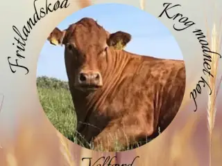 Oksekød SÆLGES