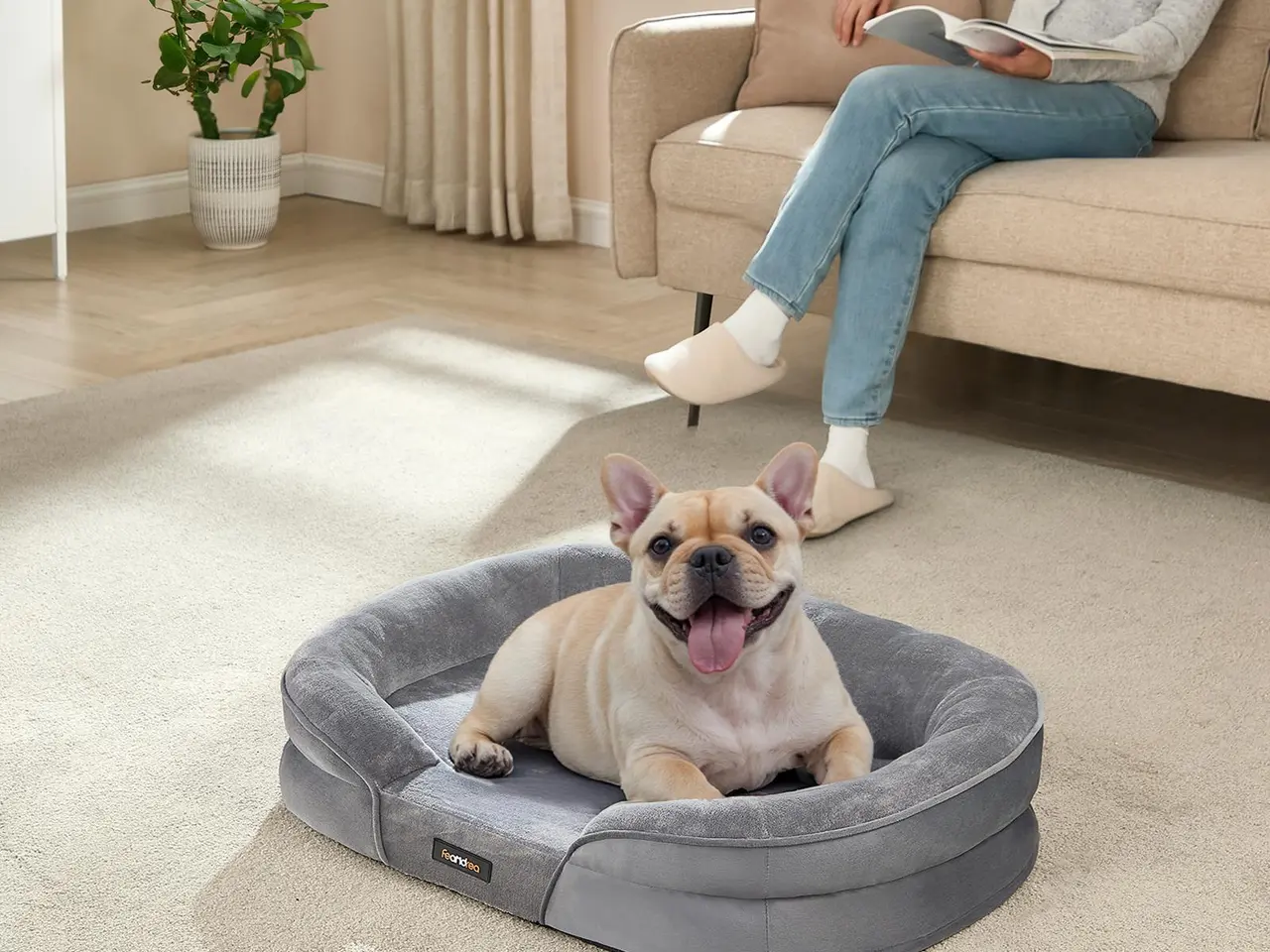 Billede 2 - Feandrea ortopædisk hundeseng/sofa - medium, 76 × 51 × 18 cm, æggebakke-skum, vandtæt inderfor, aftageligt vaskbart betræk, skridsikker - lysegrå (UPGW281G01)