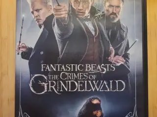 Fantastic Beasts 2 DVD