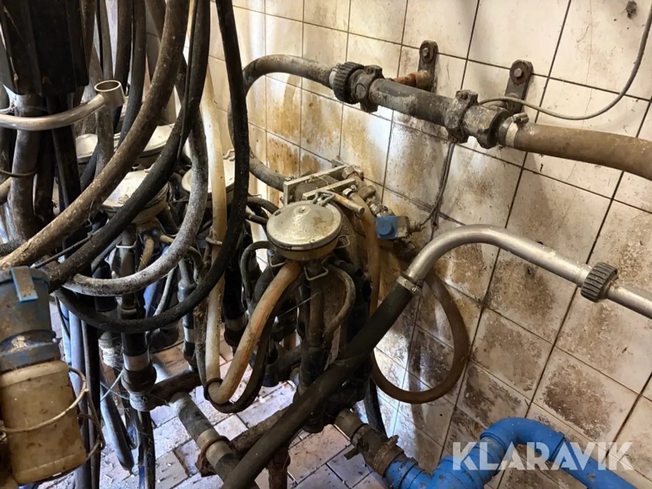 Billede 12 - Malkemaskine med aftager Alfa laval Milkmaster 8 styk