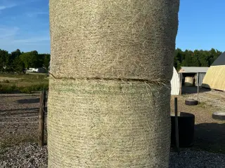 Hø i rundballer Ø 120cm fra 2026