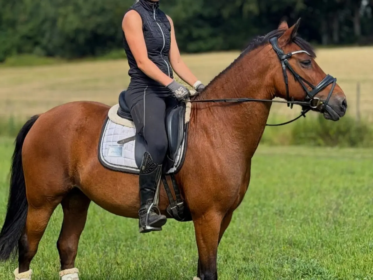 Billede 2 - 🤩Nem skovturshest🤩