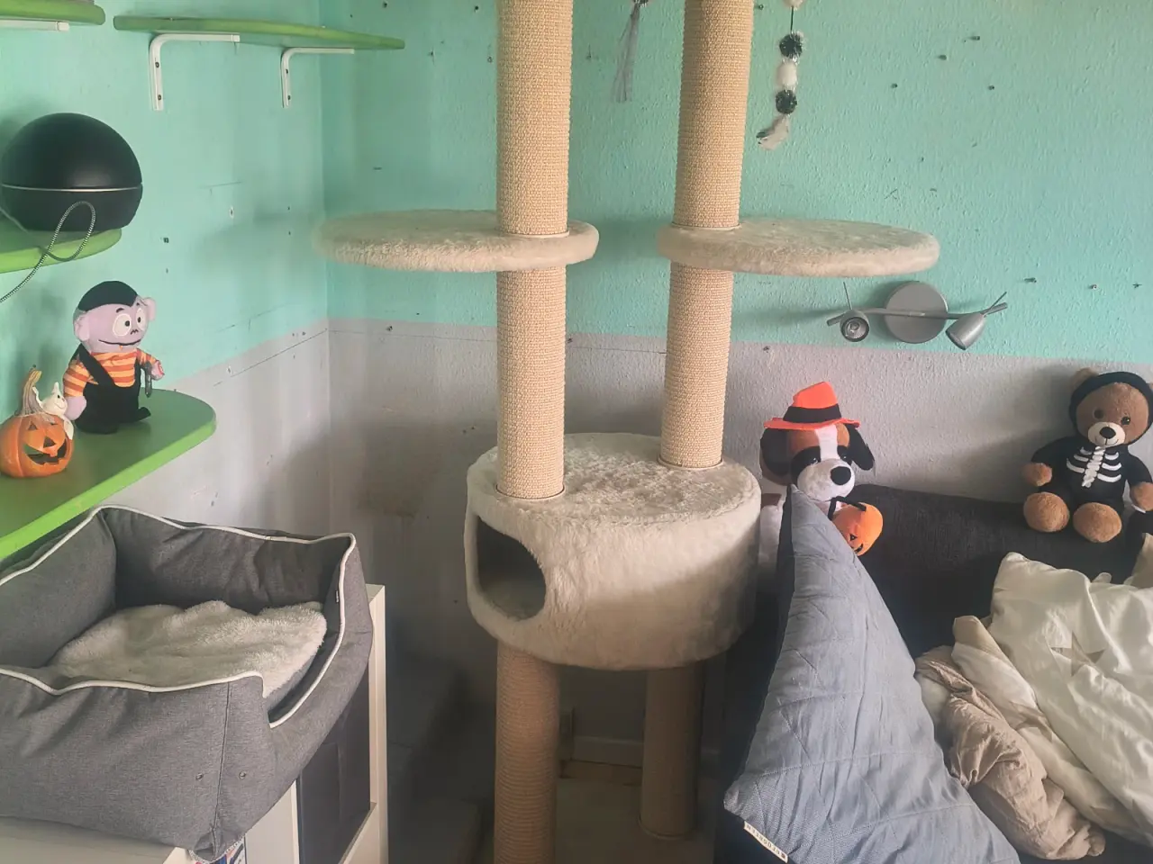 Billede 1 - Det største katten nr 1 klatterstativ