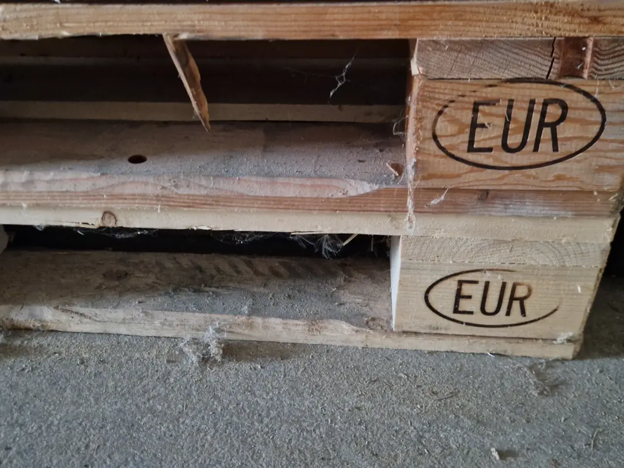 Billede 3 - Europa paller sælges