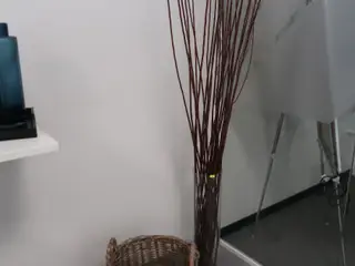 Kurv samt vase med pinde