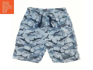 Børne shorts med hajprint fra H&M (str. 104)