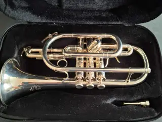 Besson New Standard